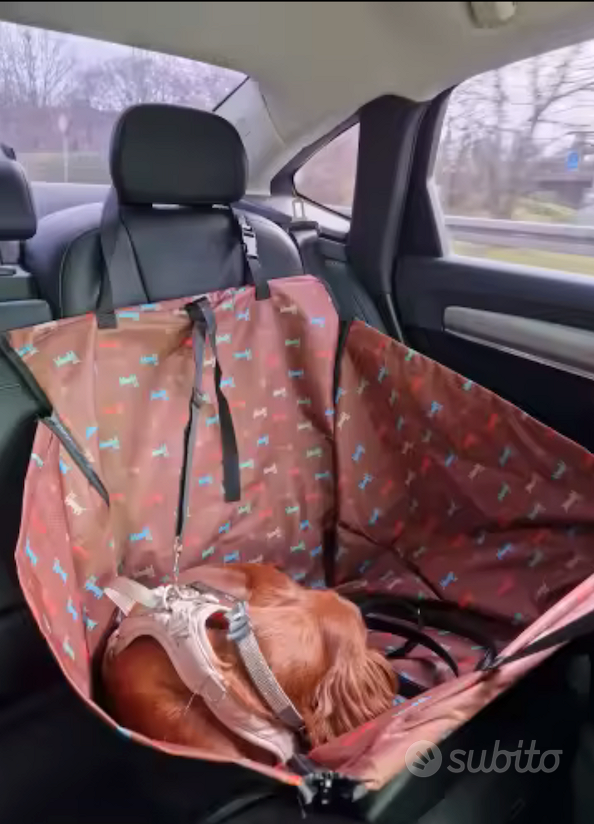 Trasportino per auto