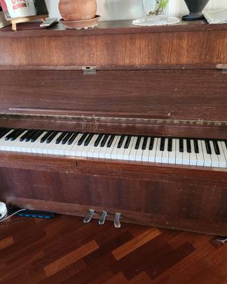 Pianoforte Rippen