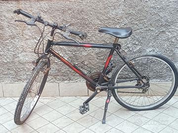 Bicicletta con marce ragazzo