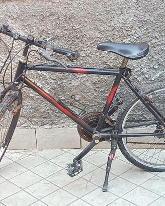Bicicletta con marce ragazzo