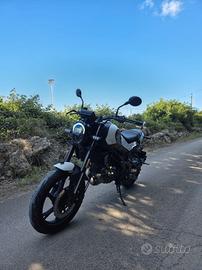 benelli leoncino 125