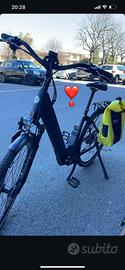 Bici elettrica