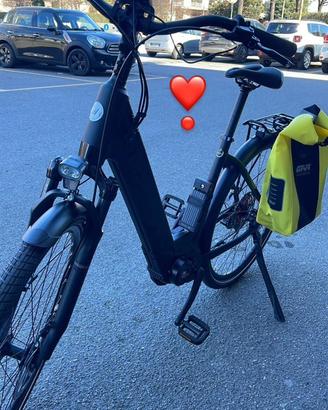 Bici elettrica