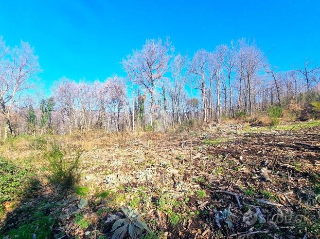 TERRENO A PISTOIA