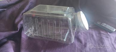 vaso elah pubblicitario 
