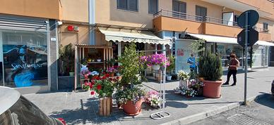 Attivita commerciale fiori,piante e oggettistica