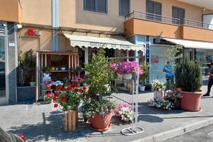 Attivita commerciale fiori,piante e oggettistica