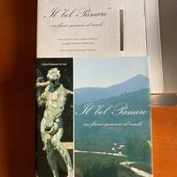 Libro il bel Panaro. Un fiume generoso ed umile.