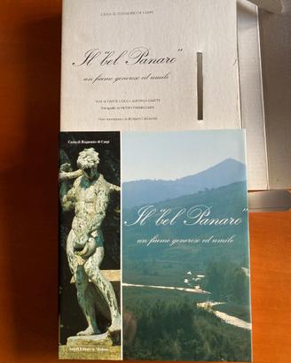 Libro il bel Panaro. Un fiume generoso ed umile.