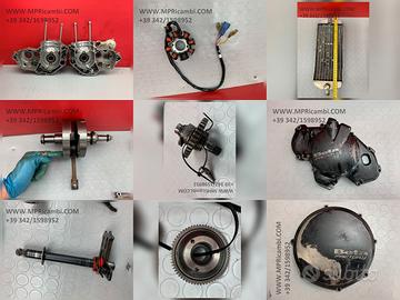 RICAMBI ELETTRICI BETA RR 450 4T 2010 2012