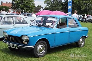 Parabrezza Peugeot 204 304