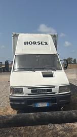 Van trasporto cavalli iveco dayli turbo