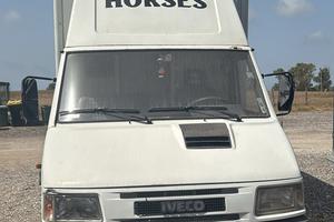 Van trasporto cavalli iveco dayli turbo