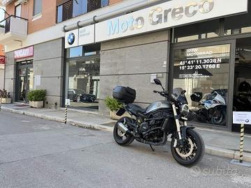 BENELLI Leoncino 500 Leoncino 800