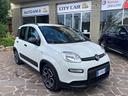 fiat-panda-1-0-firefly-s-s-hybrid-city-life