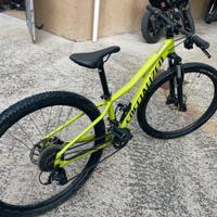 Mtb specialized