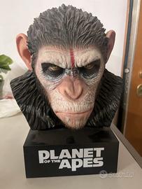 Collezzione, “planet of the apes”
