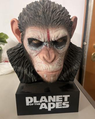 Collezzione, “planet of the apes”