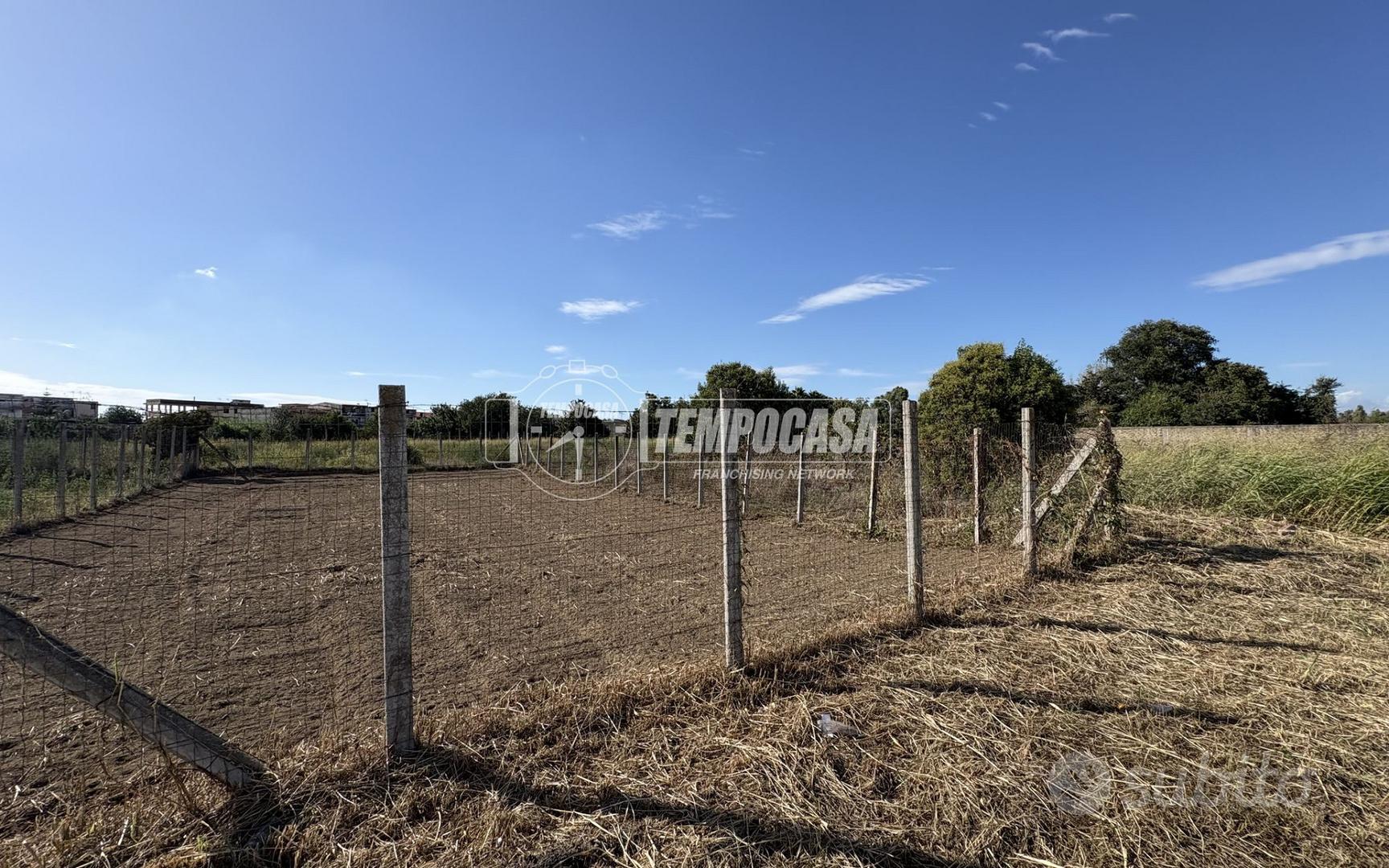Terreno agricolo - Vista 4
