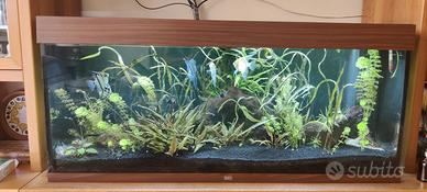 Acquario acqua dolce 300 litri completo di pompa,