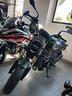 benelli-leoncino-800