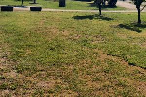 Vendita terreno a Villafranca d'Asti