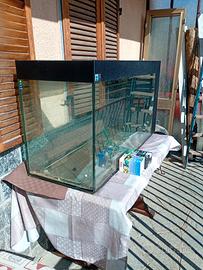 acquario 350 litri