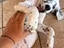 Immagine 1