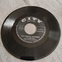 VINILE 45 GIRI - MICHELE CAPONIGRO
