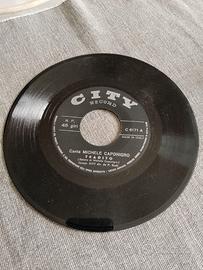 VINILE 45 GIRI - MICHELE CAPONIGRO