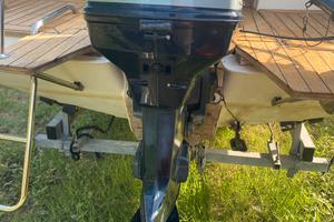 Motore fuoribordo 115cv evinrude