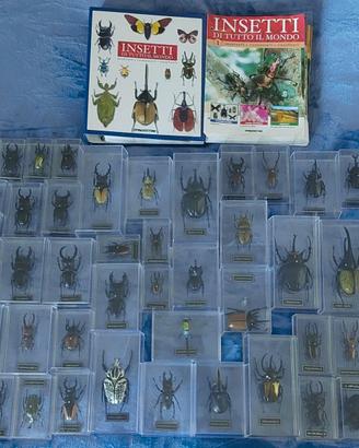 Collezione Insetti di tutto il mondo - De Agostini