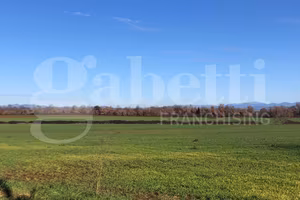 Terreno Agricolo Civita Castellana