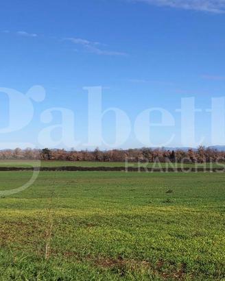 Terreno Agricolo Civita Castellana