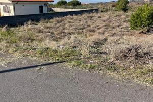 Terreno agricolo 1000 mt²