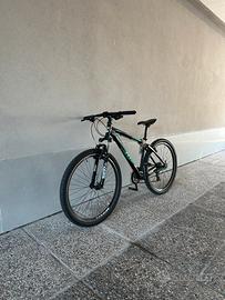 Bicicletta Botecchia