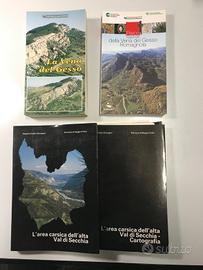 Emilia Romagna Ass. Ambiente