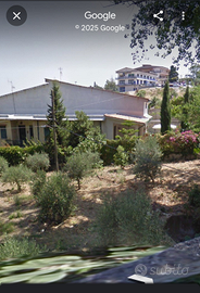 Appartamento con giardino e terreno