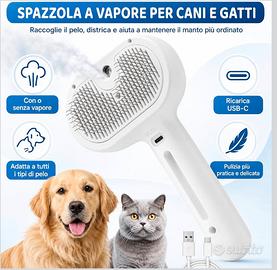 Spazzola a vapore