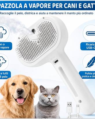 Spazzola a vapore