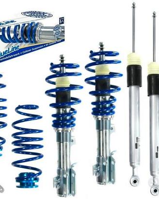 Assetto a Ghiera Regolabile Ford Fiesta Mk7 dal 08