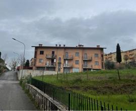 Magazzino - Montalcino