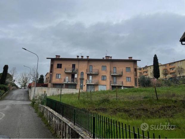 Magazzino - Montalcino
