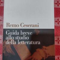 Manuale di Base Guida allo studio Letteratura