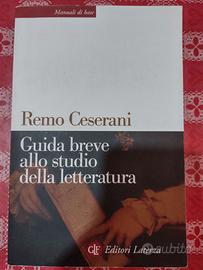 Manuale di Base Guida allo studio Letteratura