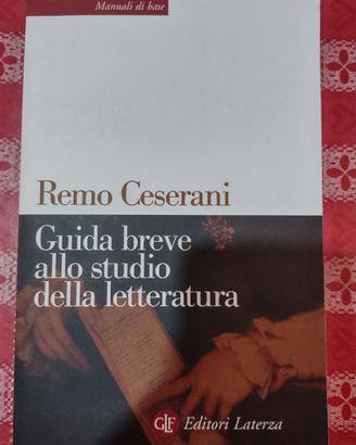 Manuale di Base Guida allo studio Letteratura