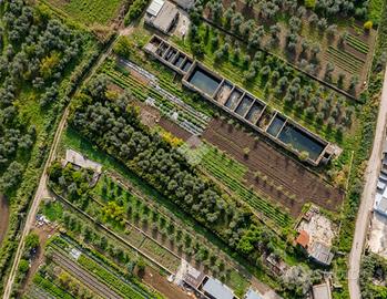 TER. AGRICOLO A MANFREDONIA