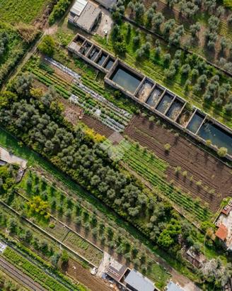 TER. AGRICOLO A MANFREDONIA
