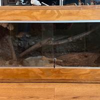 Terrario per rettili