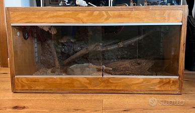 Terrario per rettili